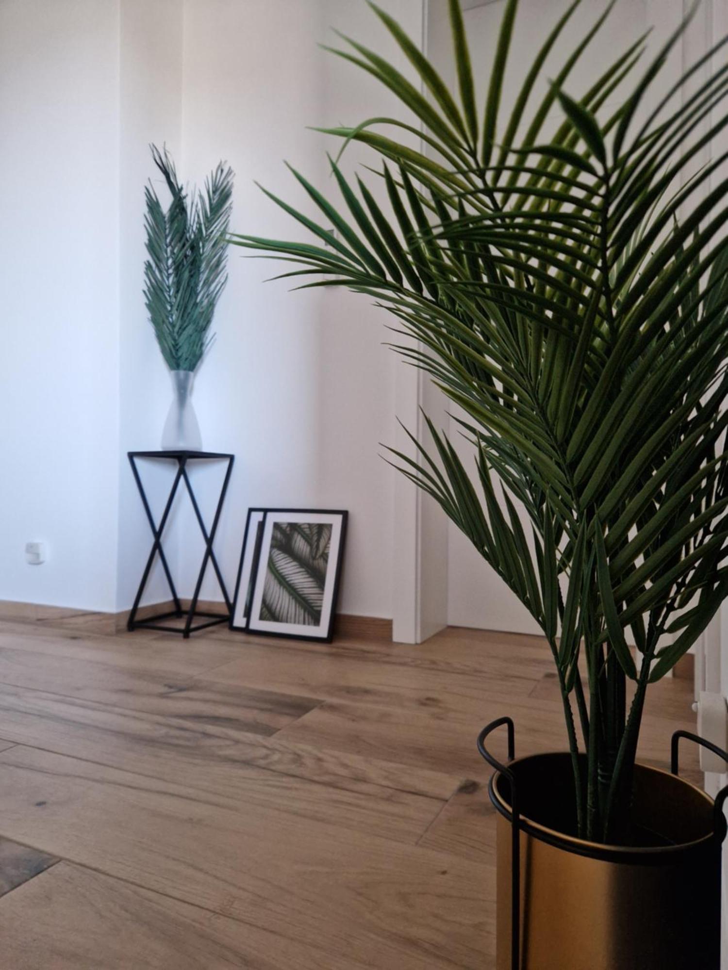 Apartment Luka Privlaka  Buitenkant foto